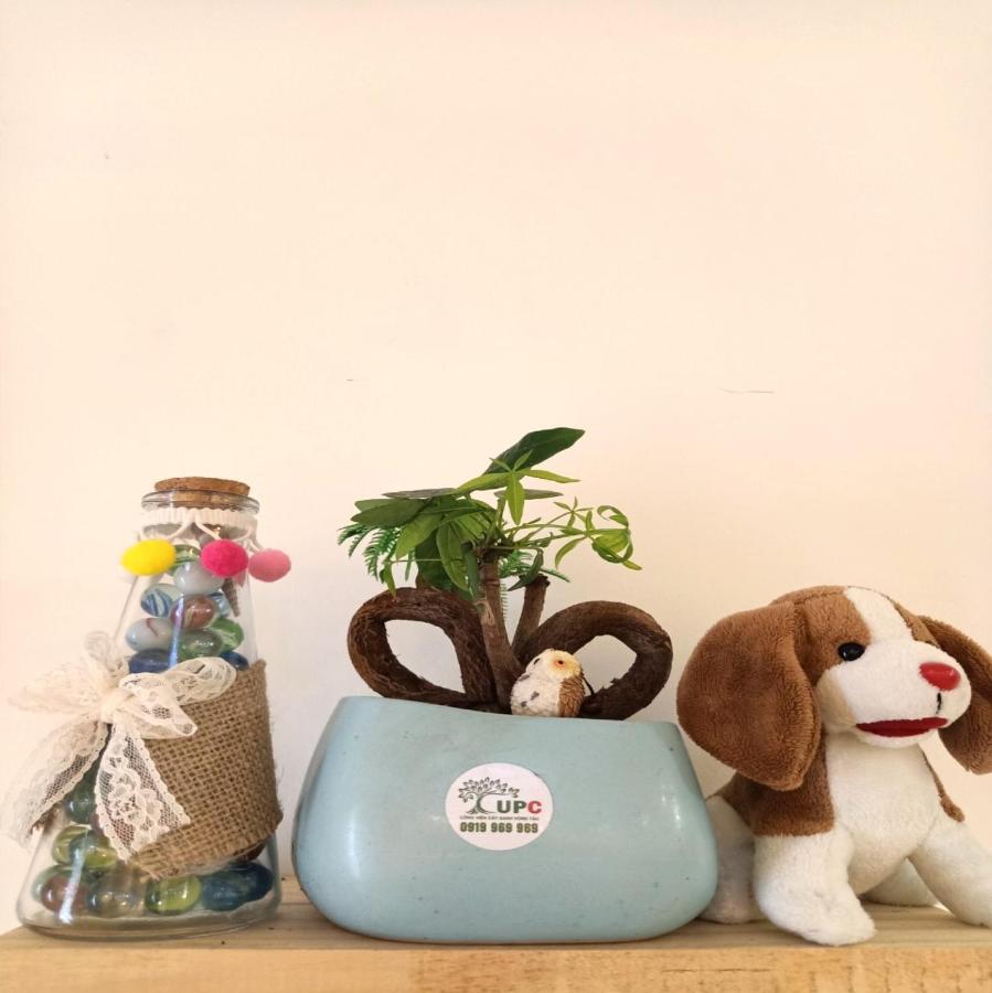 Homestay Nha Thuy 头顿 外观 照片